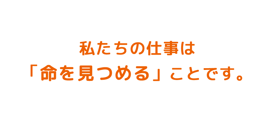 私たちの仕事は「命を見つめる」ことです。